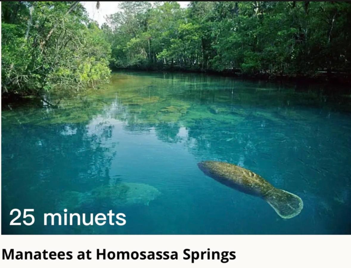 Bonne Nuit Weeki Wachee Villa Eksteriør bilde